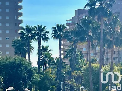 Pis a Oropesa del Mar