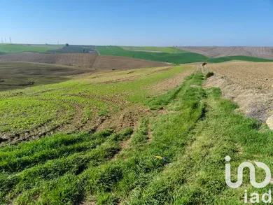 Farm land in ECIJA