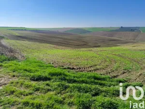 Terreno agricola en ECIJA