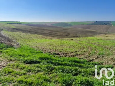 Farm land in ECIJA