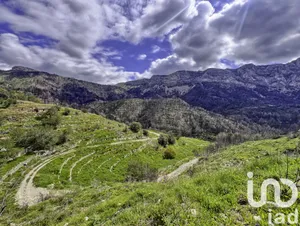 Terreny edificable a Tàrbena