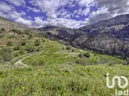 Terrain à bâtir à Tàrbena