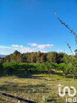 Land in Ginestar
