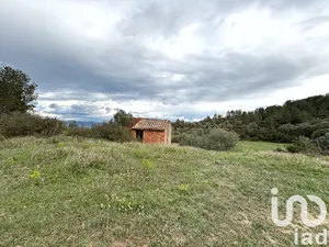 Terreny agrícola a Ascó