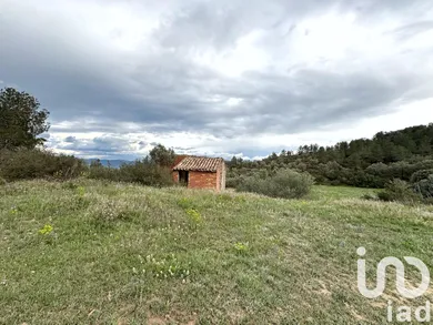 Terreny agrícola a Ascó