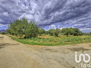 Terreny agrícola a Binissalem