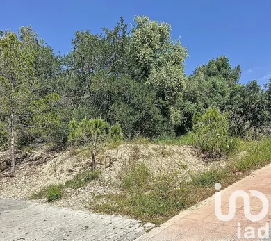 Terreny a Sant Pere de Ribes