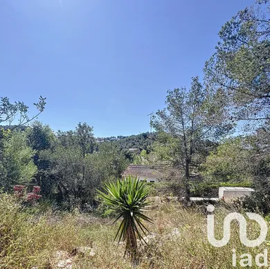 Terreny a Sant Pere de Ribes