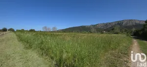 Terreno agricola en Pollença