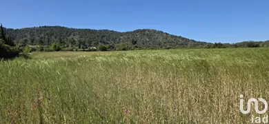Terreny agrícola a Pollença