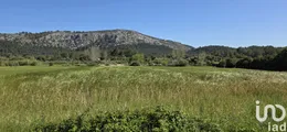 Terreno agricola en Pollença