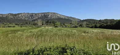 Terreny agrícola a Pollença