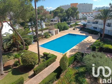 Apartment in Alcúdia