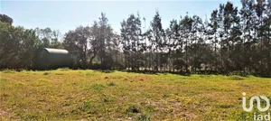 Land in Isla Cristina