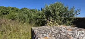 Terreny edificable a Muro