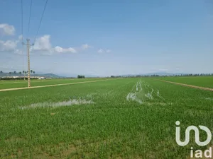 Terreny agrícola a Sant Carles de la Ràpita