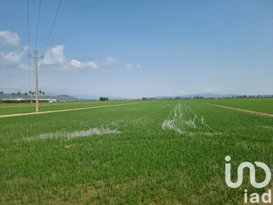 Terreny agrícola a Sant Carles de la Ràpita