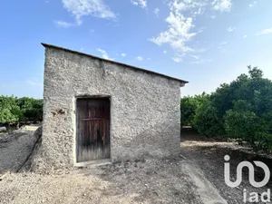 Terrain agricole à Pego