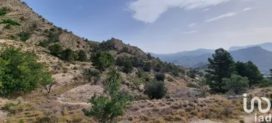 Terreny rústic a Jijona