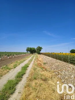 Farm land in Ecija