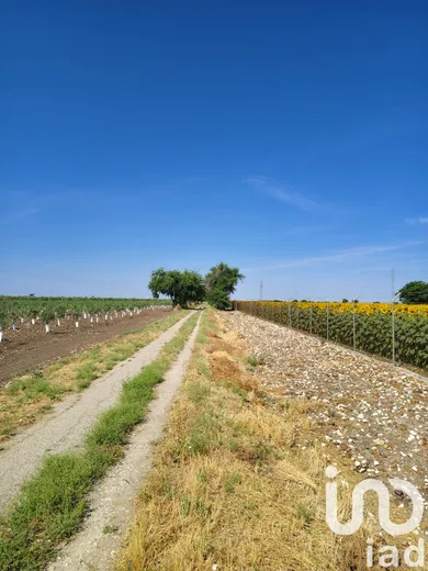 Farm land in Ecija