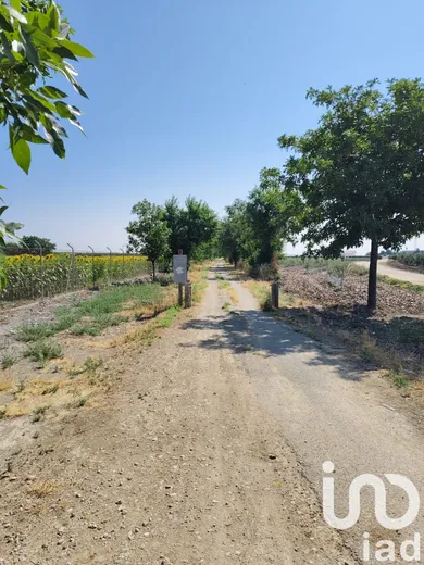Farm land in Ecija
