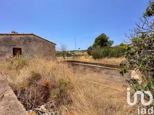 Terreny rústic a Polop