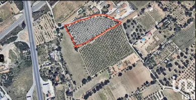 Terreny agrícola a La Planas Vila-seca