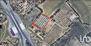 Terreno agricola en VILA-SECA
