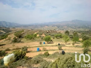 Terreny agrícola a RIBA-ROJA D'EBRE