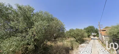 Terrain agricole à La Planas Vila-seca