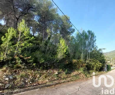 Terreny edificable a Canyelles