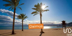 Terreny edificable a Daimús