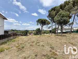 Terreny edificable a Sils