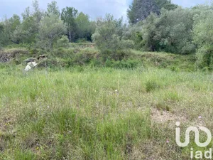 Terreny a Castellvell del Camp