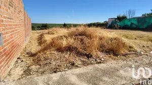 Terreno edificable en Cañada Rosal