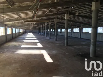 Terreno rústico en Ulldecona