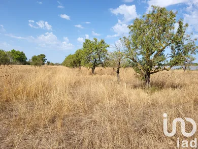 Terreny a Santa María del Camí