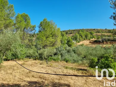 Terreny a Tivissa