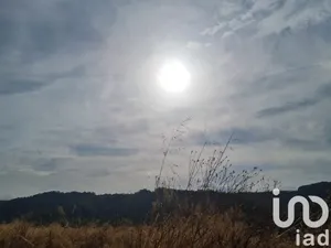 Terreny a benifallet