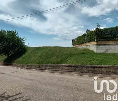 Terreny a Rioseco de Tapia