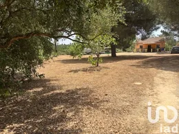 Land in San Bartolomé de la Torres