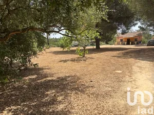Terreno en San Bartolomé de la Torres