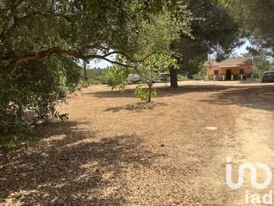 Land in San Bartolomé de la Torres