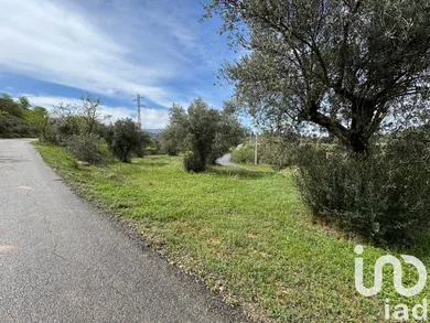 Terreny agrícola a Ascó