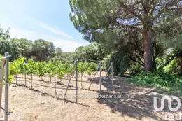 Cortijo en Lepe