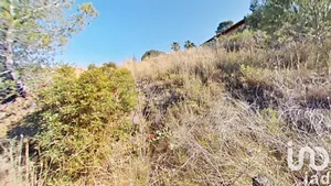 Terreny edificable a Almoster