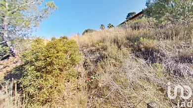 Terreny edificable a Almoster