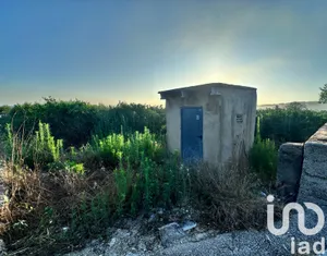 Terrain agricole à Pego