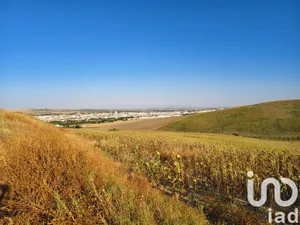 Terreno agricola en écija